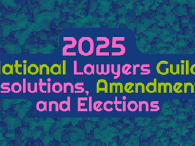 NLG Digital Governance Convention